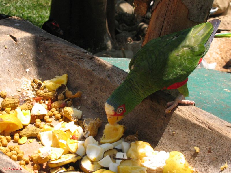 22_3  La Venta  057.jpg