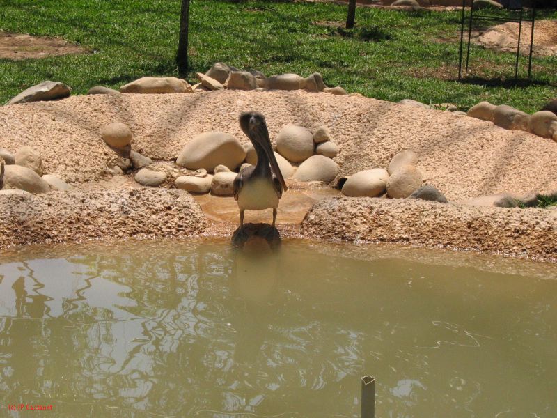 22_3  La Venta  059.jpg