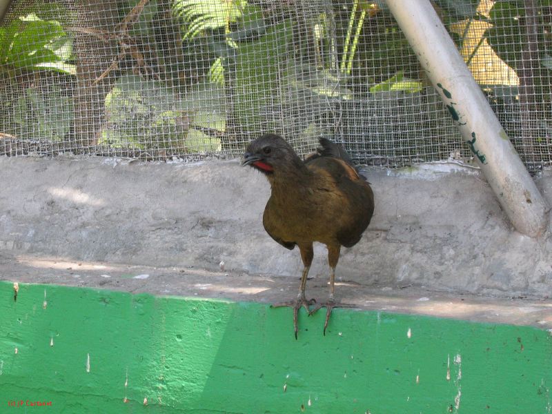 22_3  La Venta  062.jpg