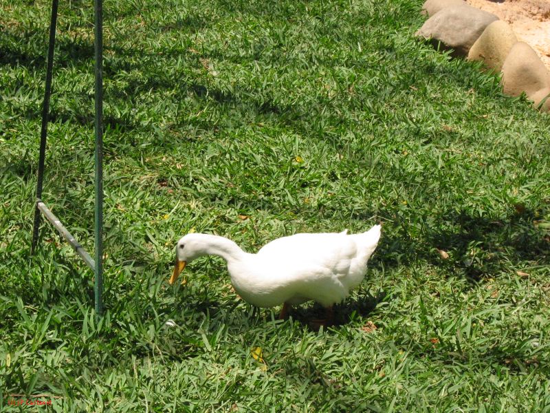 22_3  La Venta  067.jpg