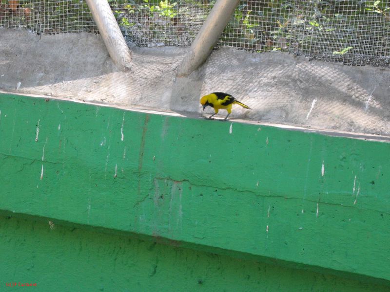 22_3  La Venta  068.jpg