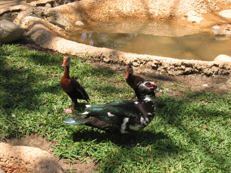22_3  La Venta  073.jpg