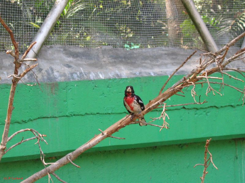 22_3  La Venta  077.jpg