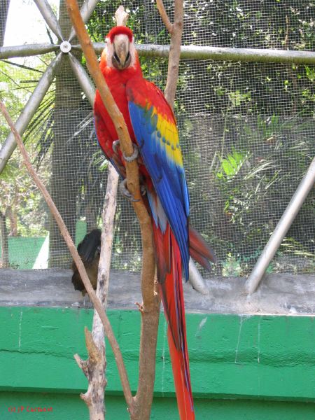 22_3  La Venta  078.jpg