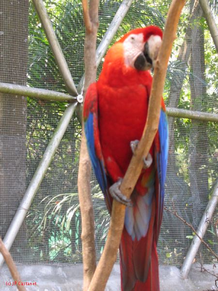 22_3  La Venta  080.jpg