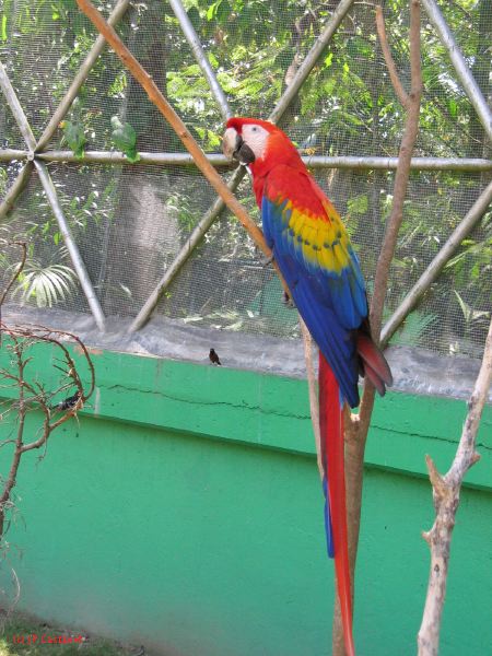 22_3  La Venta  083.jpg
