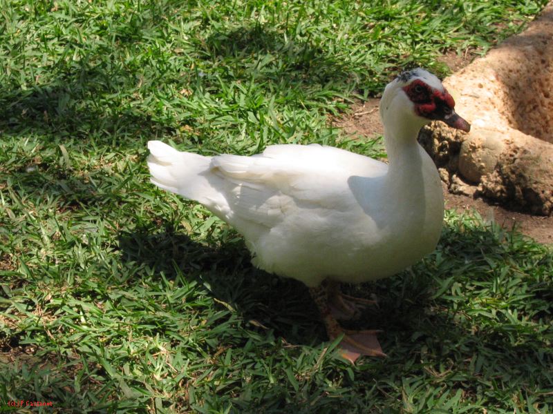 22_3  La Venta  084.jpg
