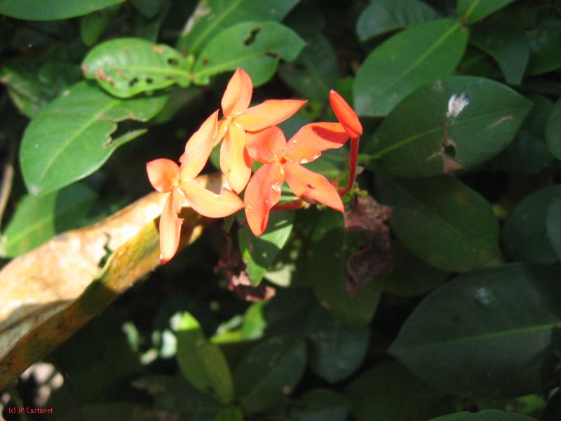 22_3  La Venta  085.jpg