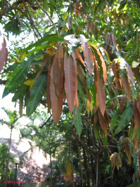 22_3  La Venta  088.jpg