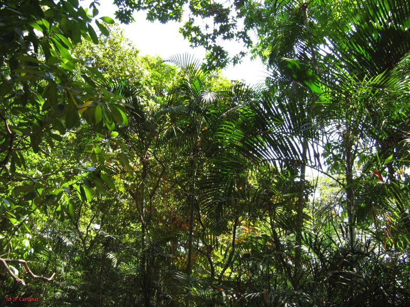 22_3  La Venta  010.jpg