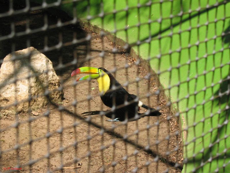 22_3  La Venta  092.jpg