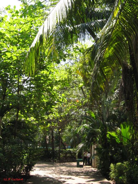 22_3  La Venta  093.jpg