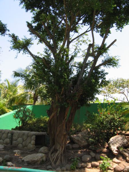 22_3  La Venta  094.jpg