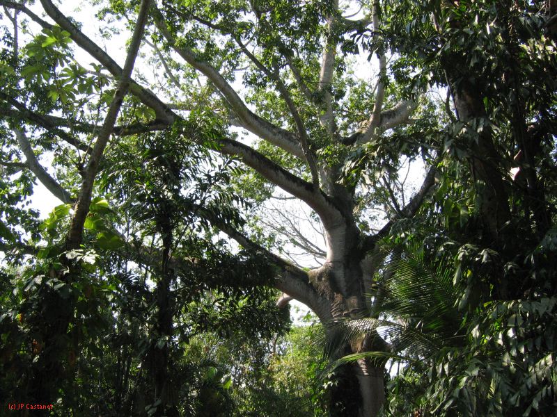22_3  La Venta  109.jpg