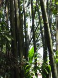 22_3  La Venta  045.jpg