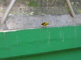 22_3  La Venta  066.jpg