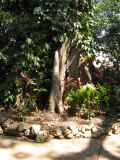 22_3  La Venta  112.jpg