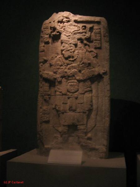 19_3  Antropo  221.jpg