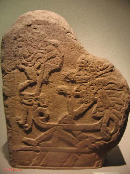 19_3  Antropo  230.jpg