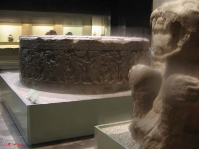 19_3  Antropo  319.jpg