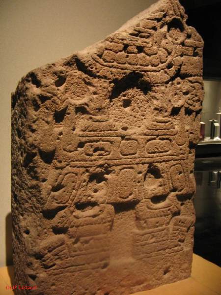 19_3  Antropo  378.jpg