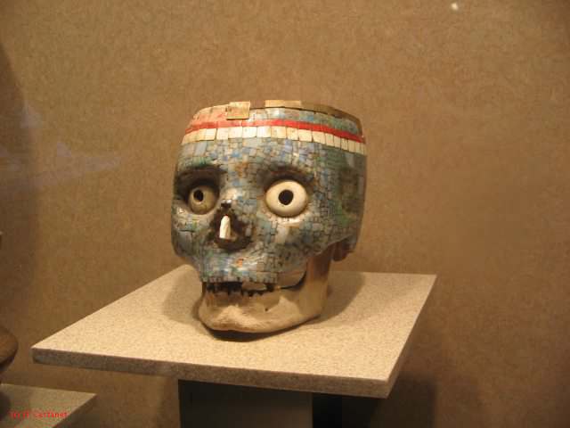 19_3  Antropo  387.jpg