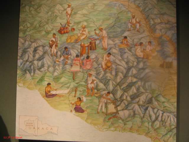 19_3  Antropo  092.jpg