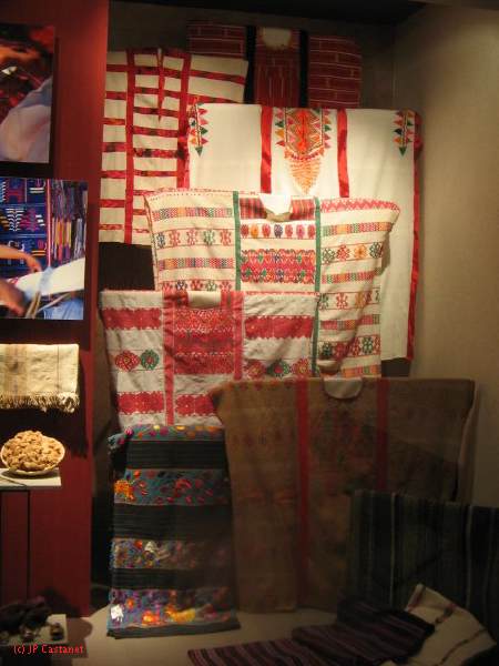 19_3  Antropo  098.jpg