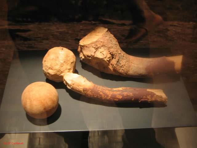 19_3  Antropo  165.jpg