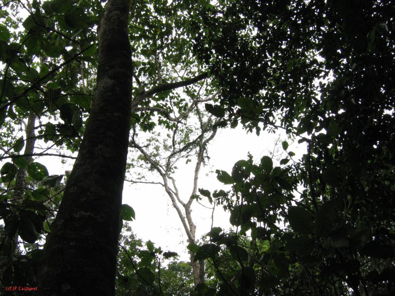 23_3 Site Pallenque  165.jpg
