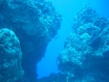 Tortues 04-05-075