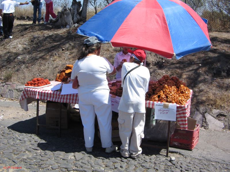 21_3  Teotihuacan  078.jpg