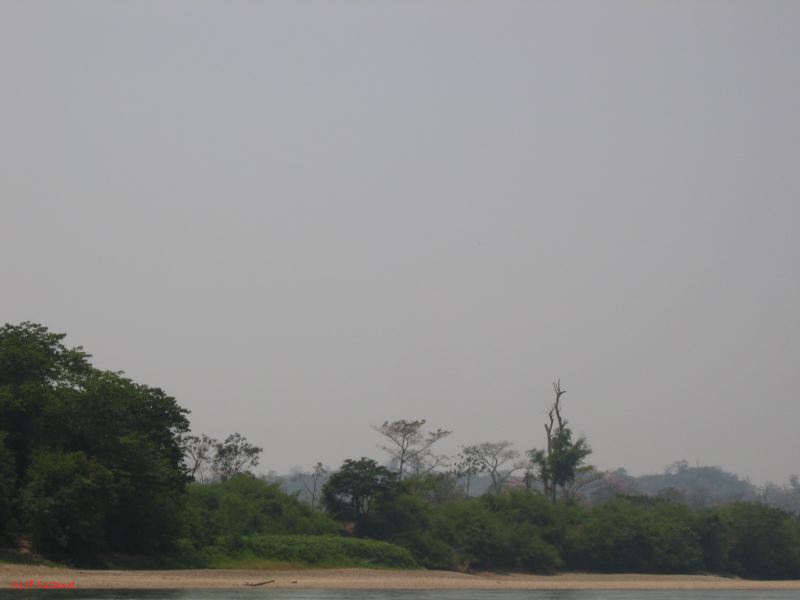 24_3 Yaxchilan  019.jpg
