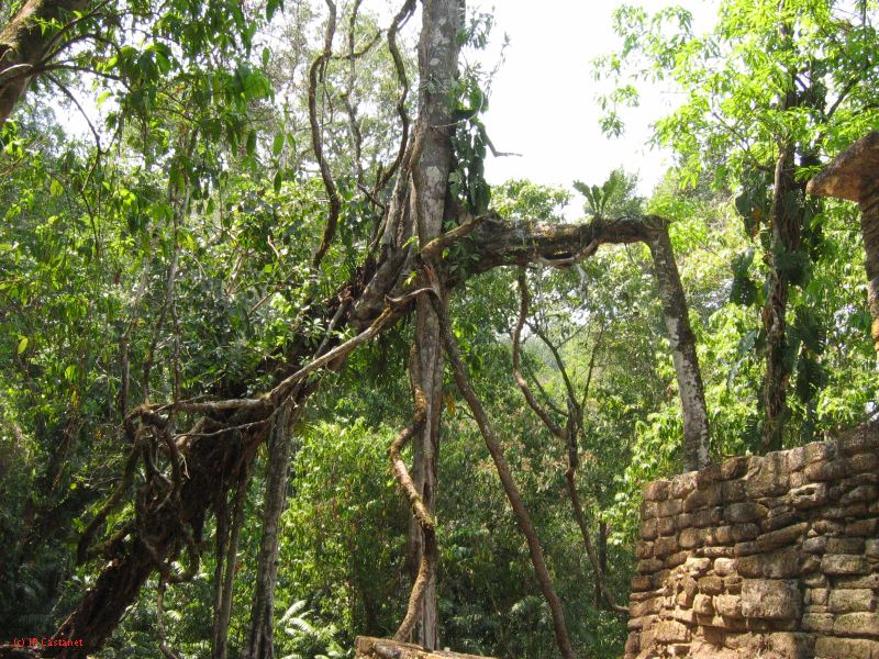 24_3 Yaxchilan  113.jpg
