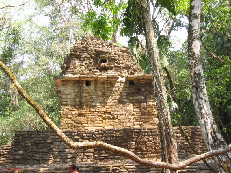 24_3 Yaxchilan  115.jpg