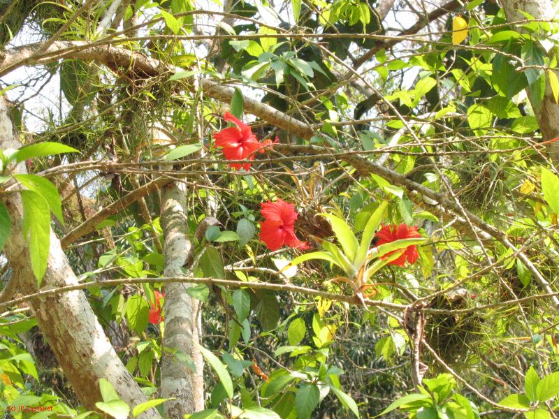 24_3 Yaxchilan  123.jpg