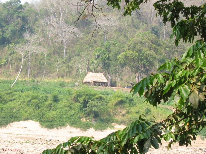 24_3 Yaxchilan  128.jpg