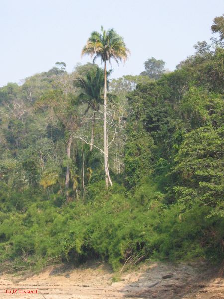 24_3 Yaxchilan  138.jpg