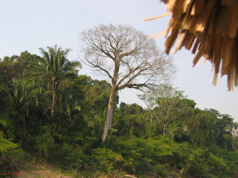 24_3 Yaxchilan  149.jpg