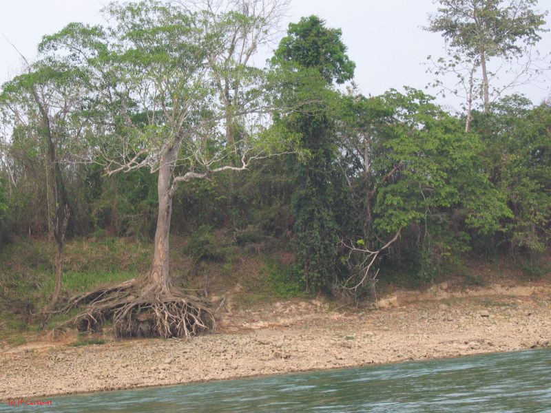 24_3 Yaxchilan  154.jpg
