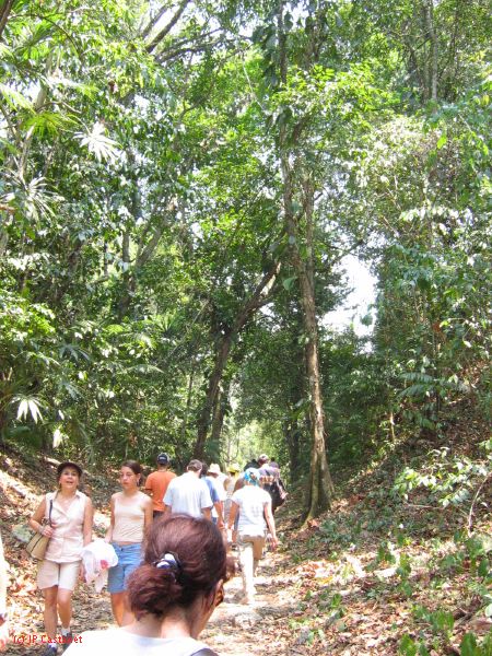 24_3 Yaxchilan  047.jpg