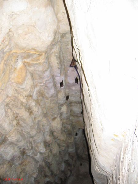 24_3 Yaxchilan  052.jpg