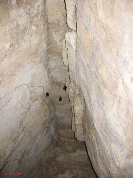 24_3 Yaxchilan  053.jpg