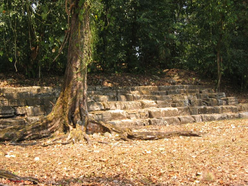 24_3 Yaxchilan  070.jpg