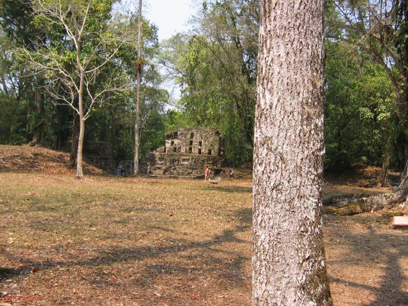 24_3 Yaxchilan  077.jpg