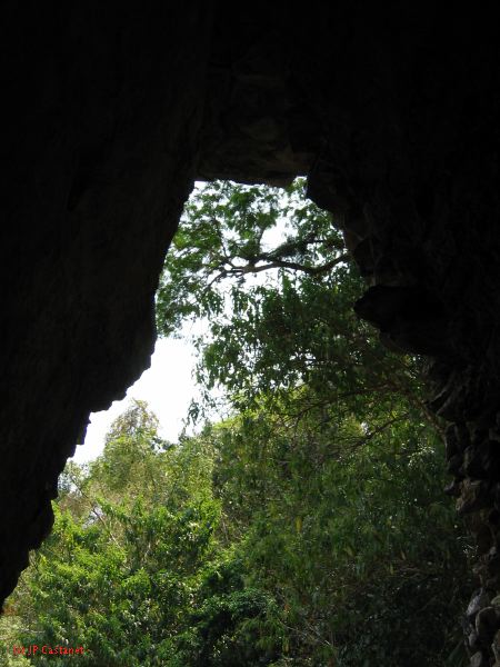 24_3 Yaxchilan  083.jpg