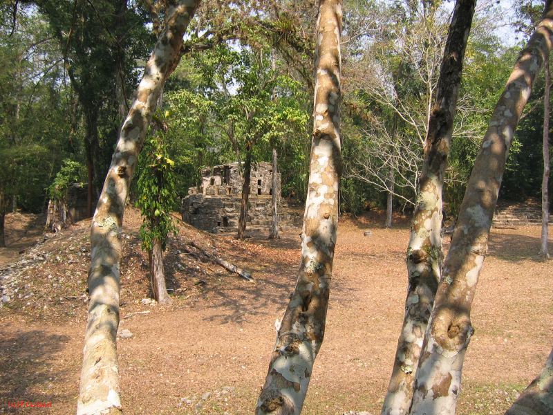 24_3 Yaxchilan  090.jpg