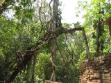 24_3 Yaxchilan  113.jpg