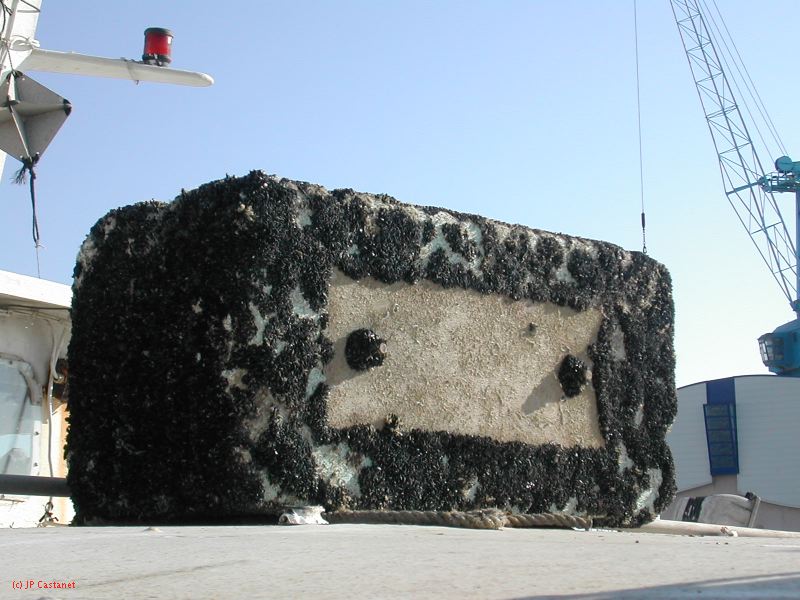 DSCN2172.JPG