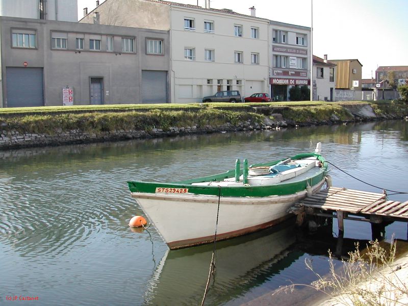 DSCN2183.JPG